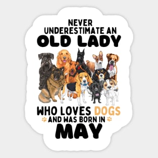 Never Underestimate An Old Lady Who Loves Dogs And Was may Sticker